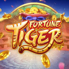 melhor plataforma para jogar fortune tiger ícone